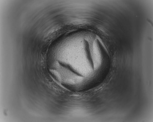 X0000099480917200805231851