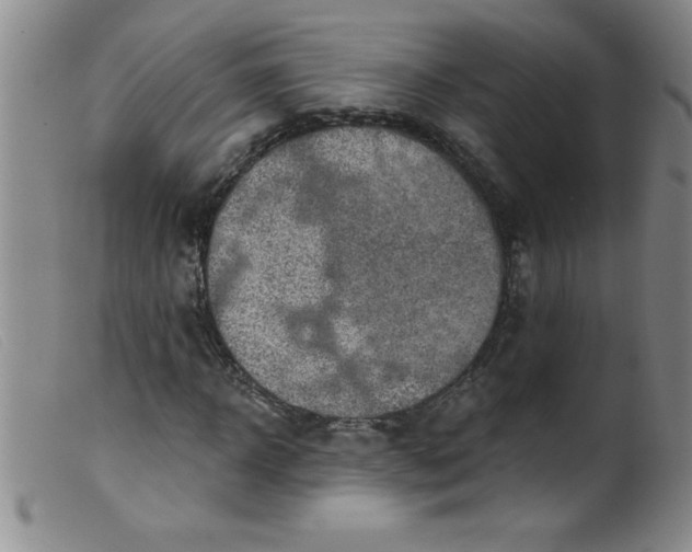 X0000099480918200805231851