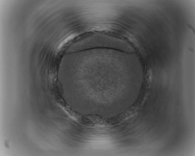 X0000099480920200805231851