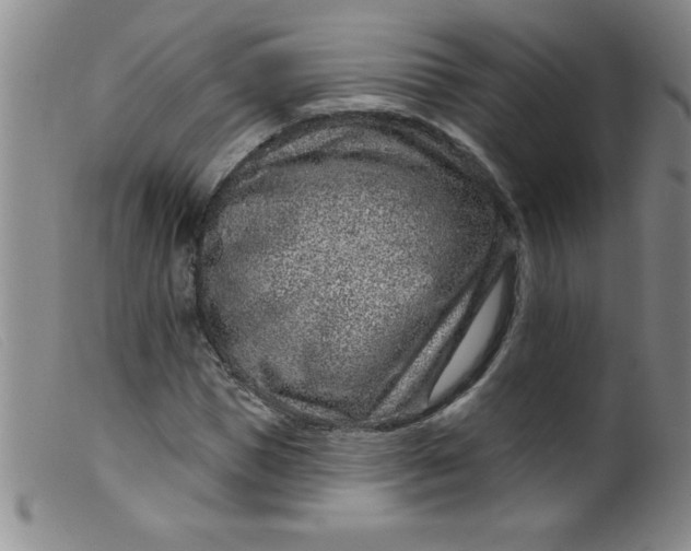 X0000099480921200805231851