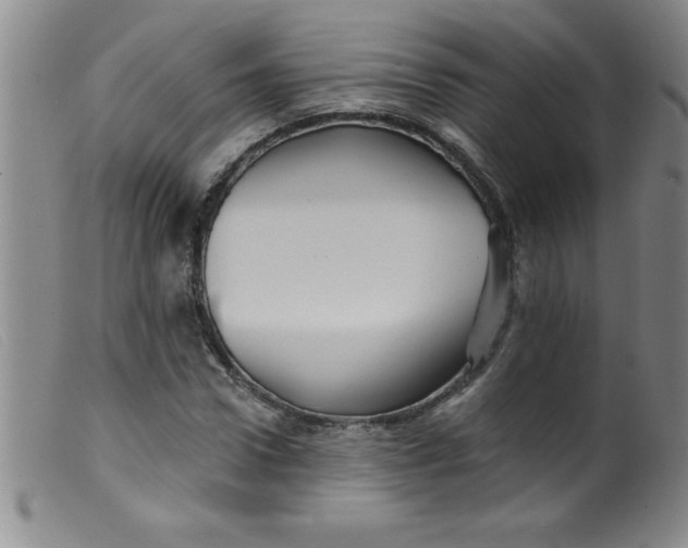 X0000099480922200805231851
