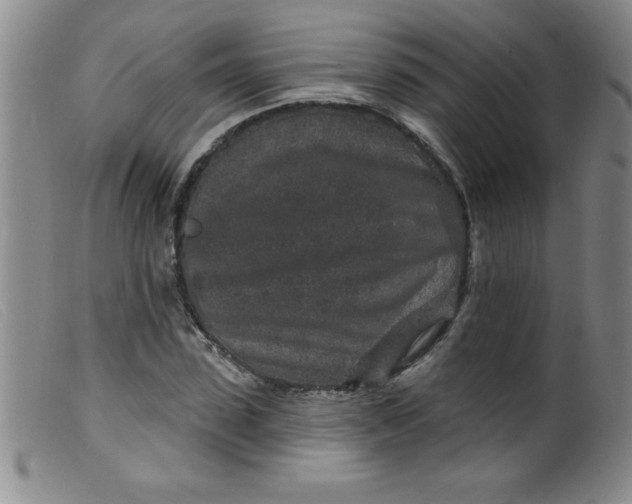 X0000099480923200805231851