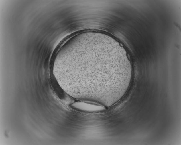 X0000099480924200805231851