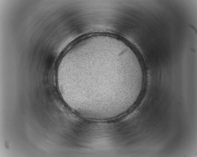 X0000099480925200805231851
