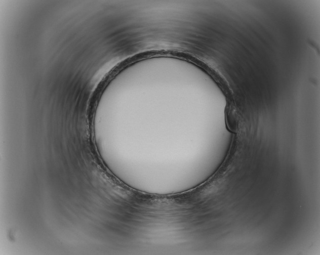 X0000099480927200805231851