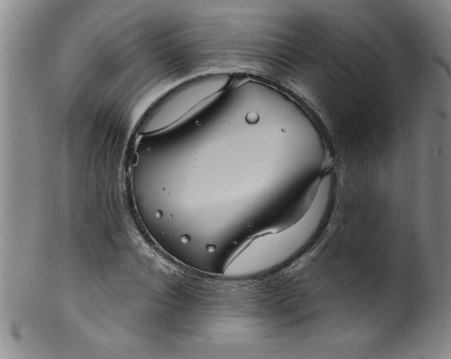X0000099480928200805231851