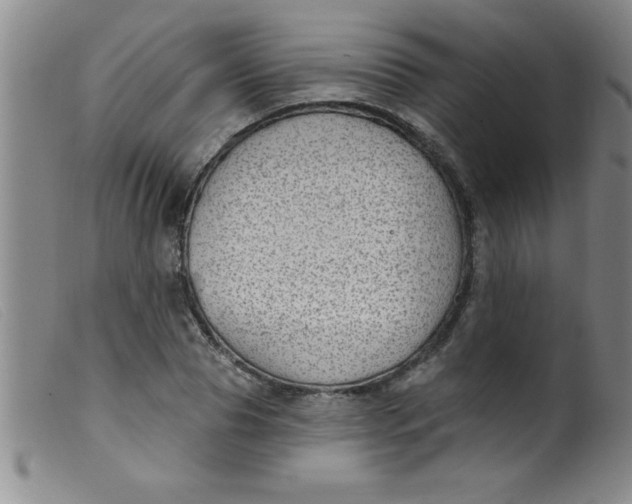 X0000099480929200805231851