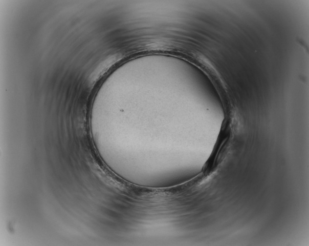 X0000099480930200805231851