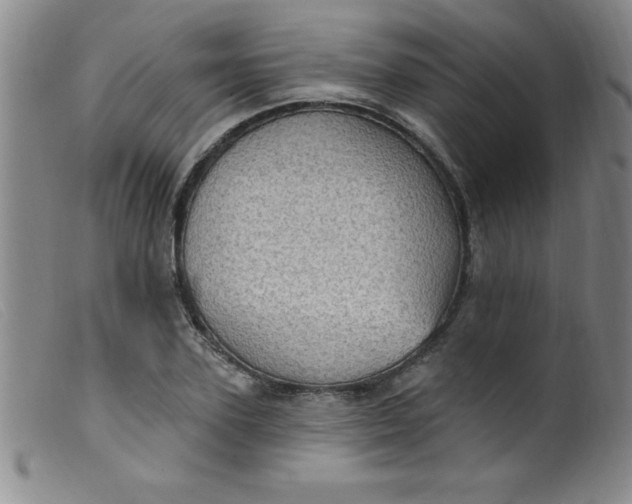 X0000099480931200805231851