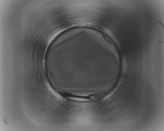 X0000099480932200805231851