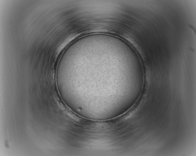 X0000099480933200805231851