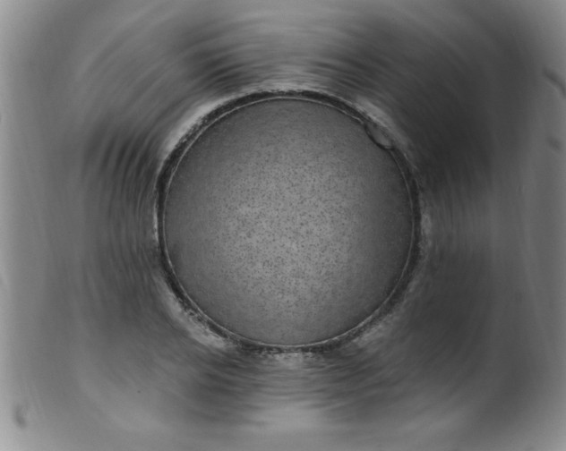 X0000099480934200805231852