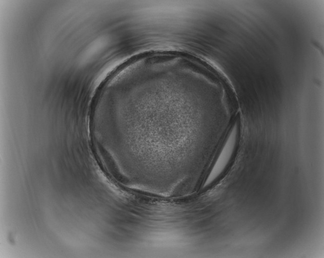 X0000099480935200805231852