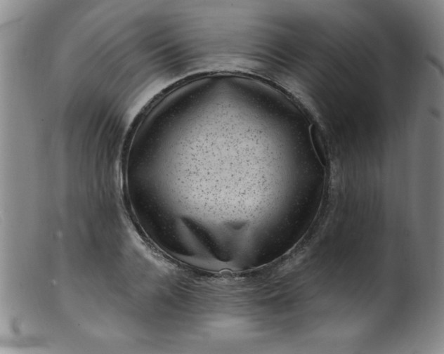 X0000099480936200805231852