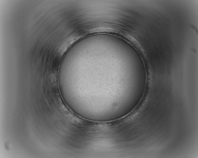 X0000099480937200805231852