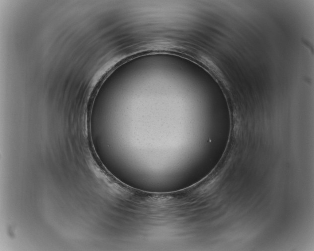 X0000099480939200805231852
