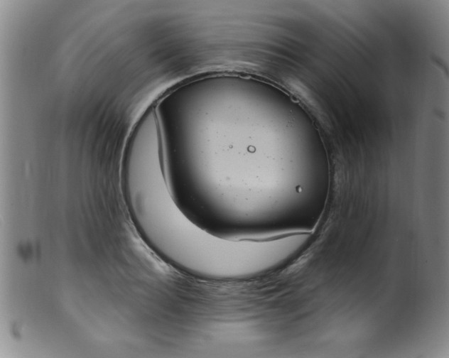 X0000099480940200805231852