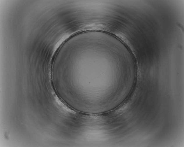 X0000099480941200805231852