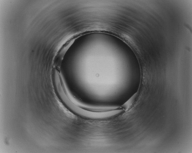 X0000099480942200805231852