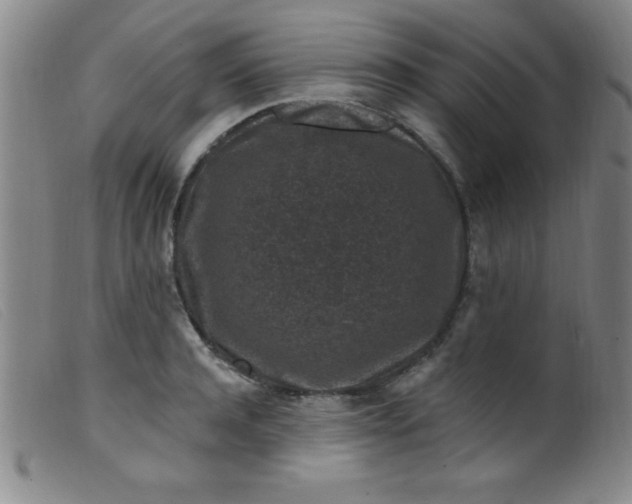 X0000099480944200805231852