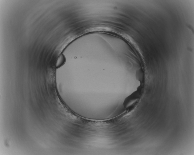 X0000099480945200805231852