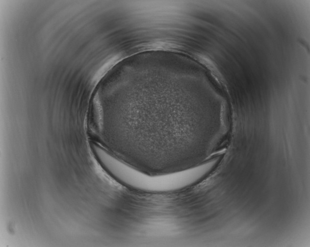 X0000099480946200805231852
