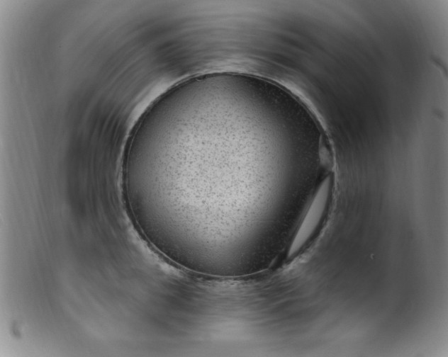 X0000099480949200805231852