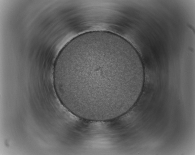 X0000099480950200805231852