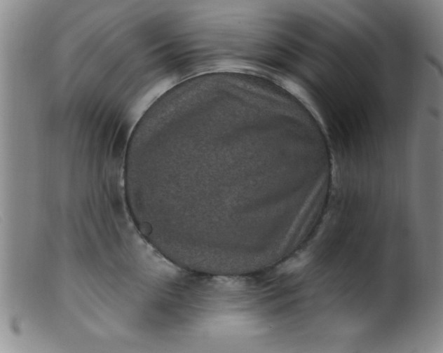 X0000099480954200805231852