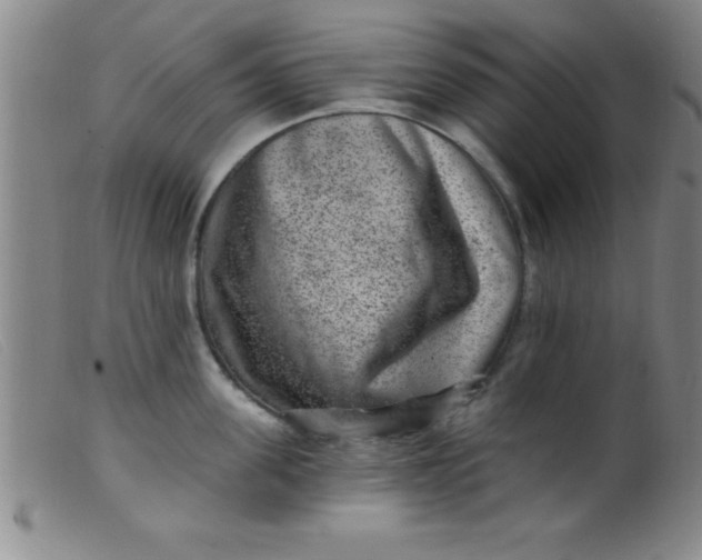 X0000099480955200805231852