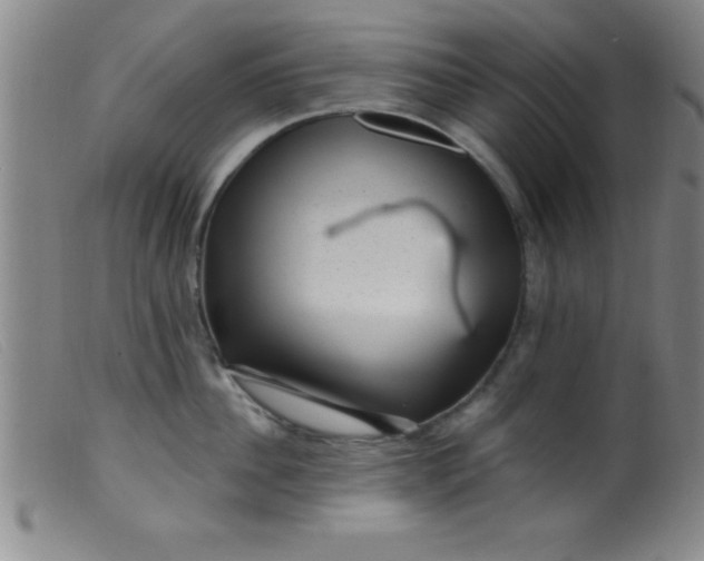 X0000099480956200805231852