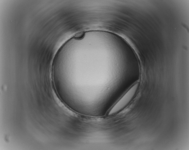 X0000099480957200805231852