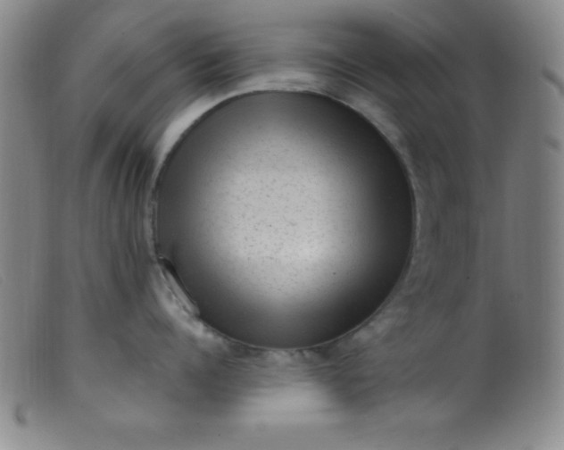 X0000099480960200805231852