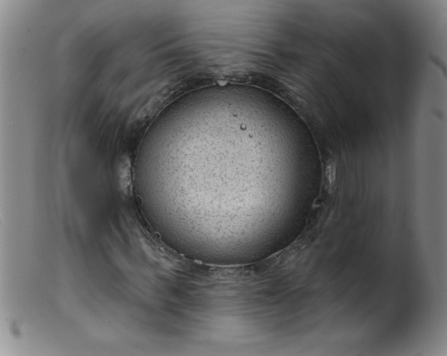 X0000099480963200805231851