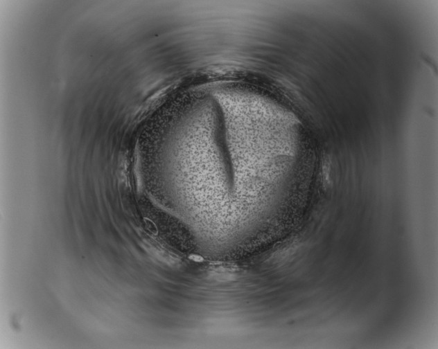 X0000099480964200805231851