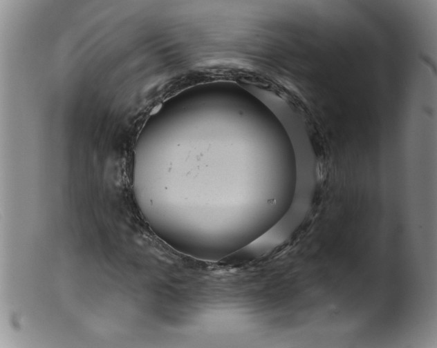 X0000099480965200805231851