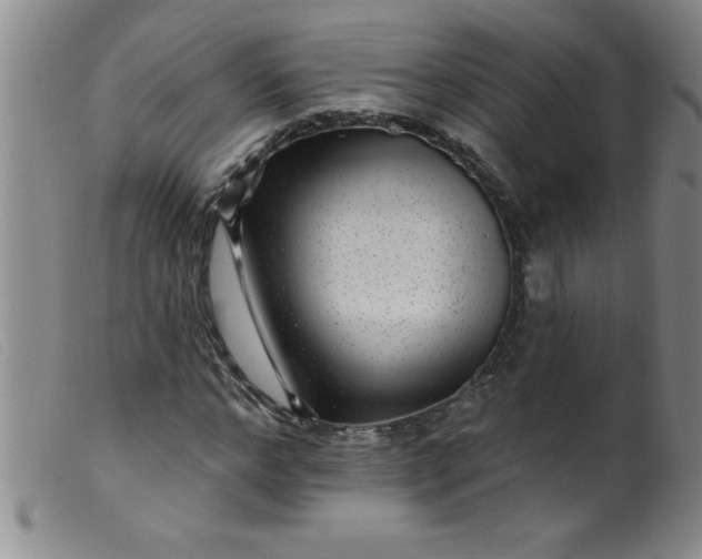 X0000099480968200805231851