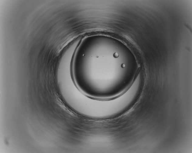 X0000099480969200805231851