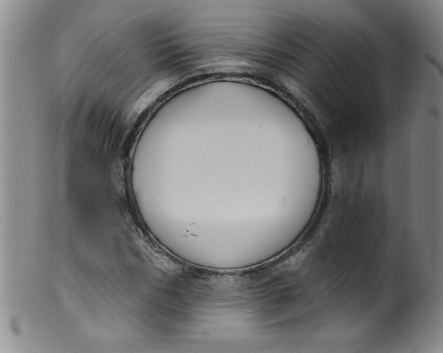 X0000099480970200805231851