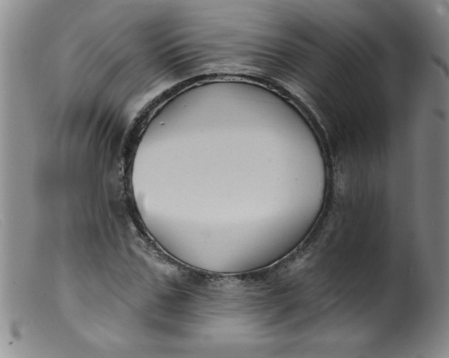 X0000099480971200805231851