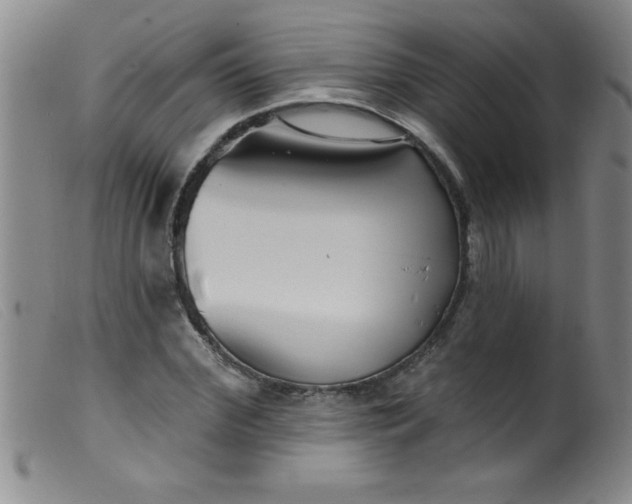 X0000099480972200805231851