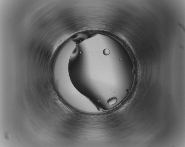 X0000099480973200805231851