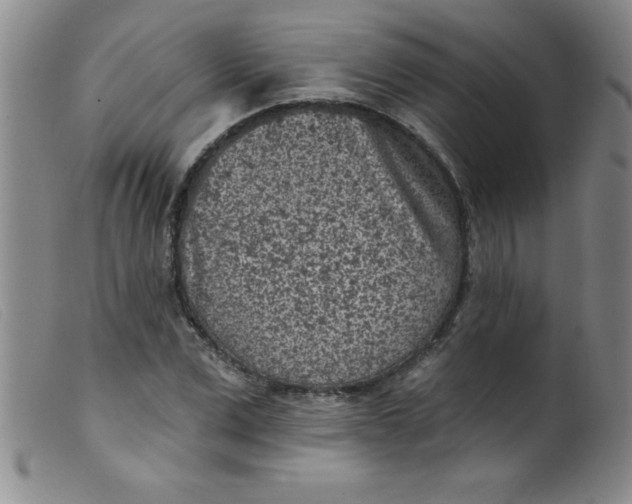 X0000099480975200805231851