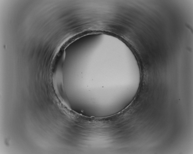 X0000099480976200805231851