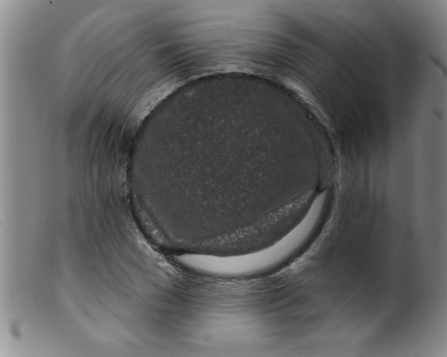 X0000099480977200805231851
