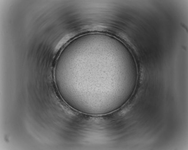 X0000099480978200805231851