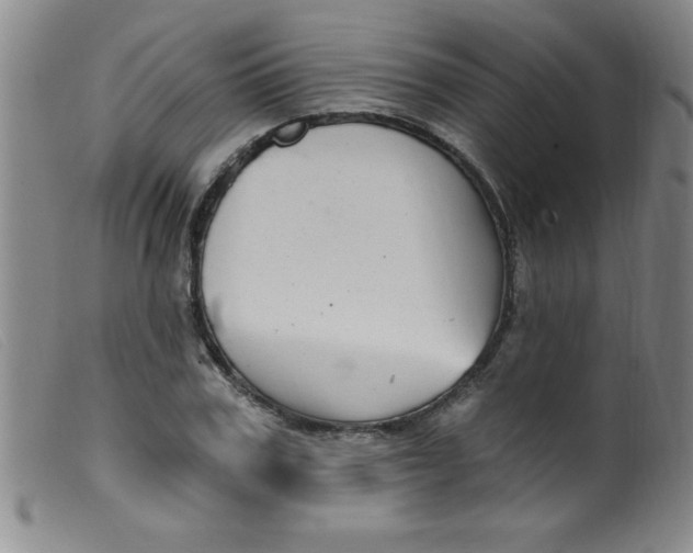 X0000099480979200805231851