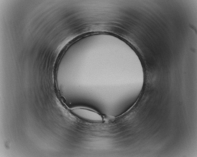 X0000099480980200805231851