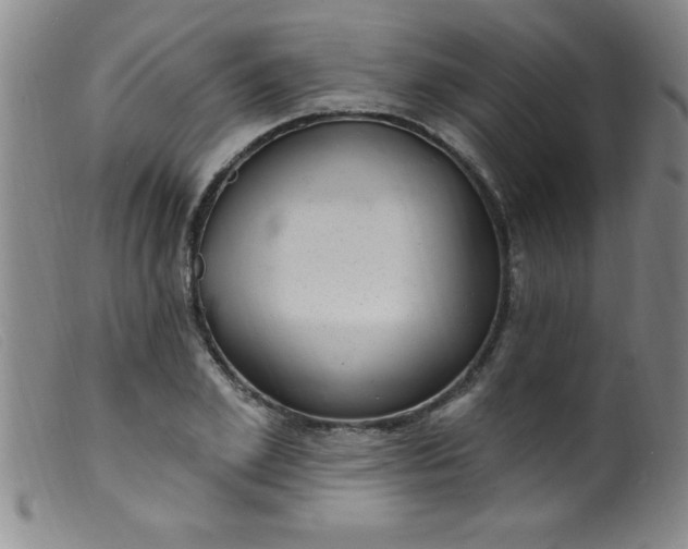X0000099480981200805231851