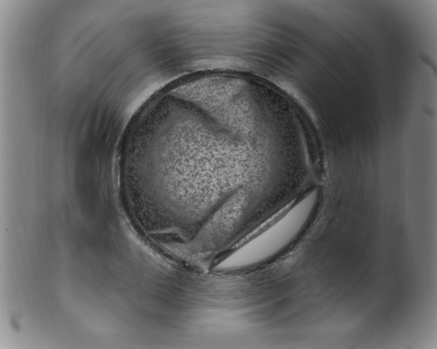 X0000099480983200805231851